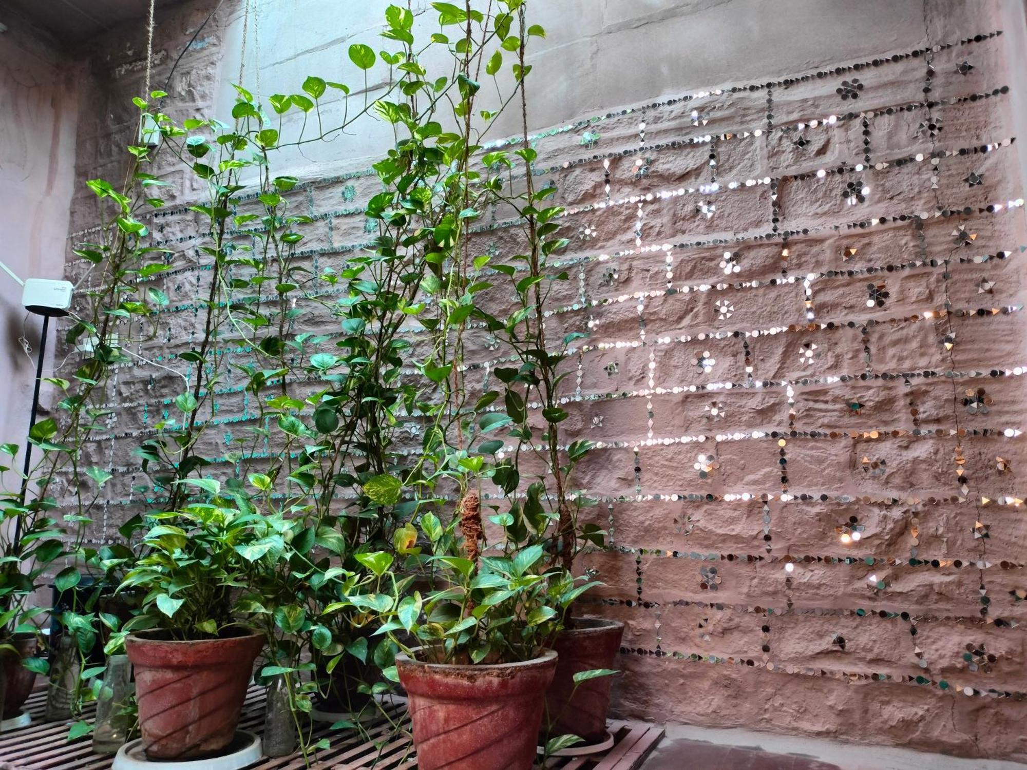 Casa De Jodhpur Hotel Jodhpur  Eksteriør billede